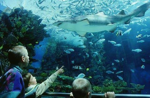 Tropicarium